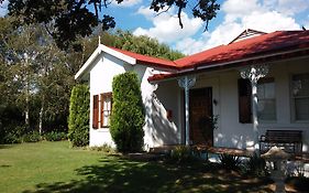 Toad Hall Guest House